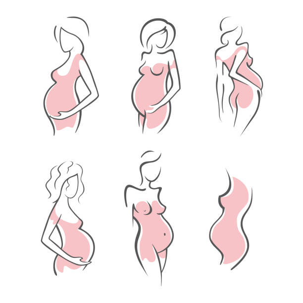 illustrazioni stock, clip art, cartoni animati e icone di tendenza di set di disegno lineare bella ragazza incinta in scuro, rosa, vestiti, figura nuda. nascita di un bambino. illustrazione grafica vettoriale, disegna sagome per il design - human pregnancy obgyn women child