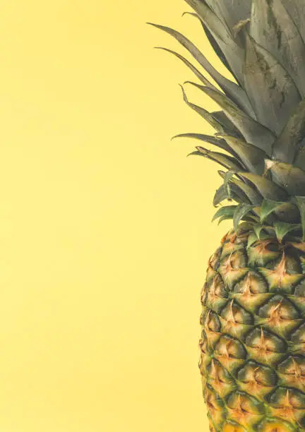 Photo of Whole pineapple with copy space