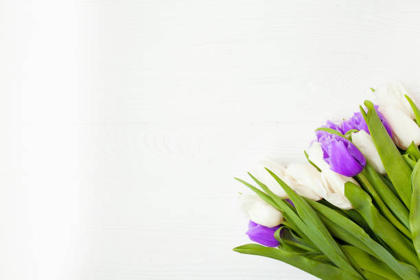 istock Color tulips on white wooden background 1053156744