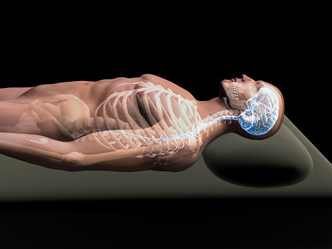 Hombre transparente con cerebro y costillas de descanso en cama photo