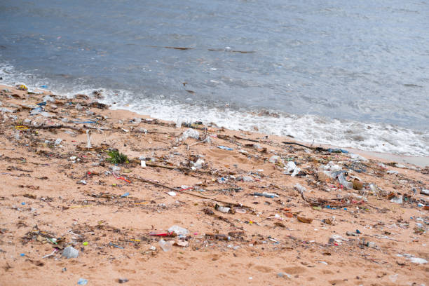 istock Pattern of dirty floating objects in the sea. Symbol of a major environmental problem caused by the waste.
Man-made pollution. 1053173830
