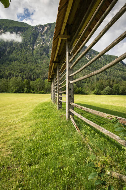 istock pasture green mountain landscape with hayrack, slovenia 1053174228