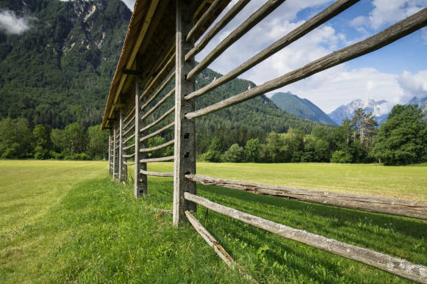 istock pasture green mountain landscape with hayrack, slovenia 1053174250