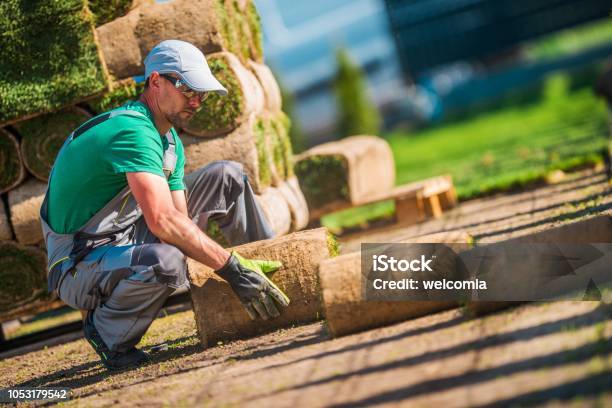 Caucasian Turf Grass Installer Stock Photo - Download Image Now - Landscaped, Gardening, Business