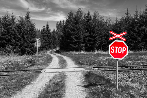 Warning signal with crossbuck on natural background with road through railroad and spruce forest. Intersection of railway line and off-road track. Way, railway line, caution, attention