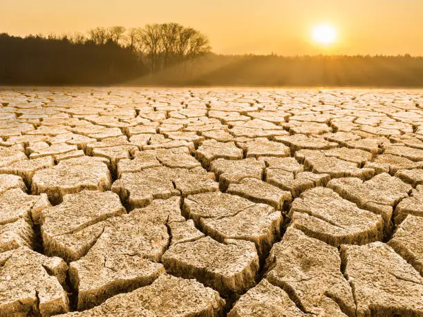 Close-up of drought in a sunlit waterless nature. View of split ground, forest, sky and glowing sun in a background. Sunshine. Idea of dryness, ecology, global warming, climate changes, extreme weather, agricultural subsidy