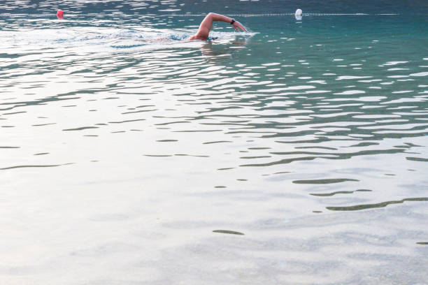 istock Trail swimmer on the sea surface. Background 1053184088
