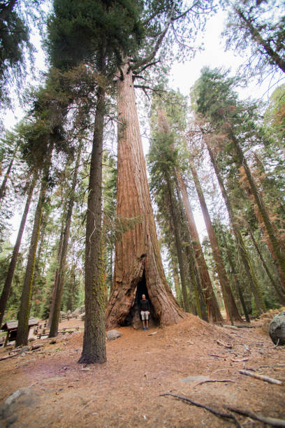 istock America, California, West cost, travel 1053186590