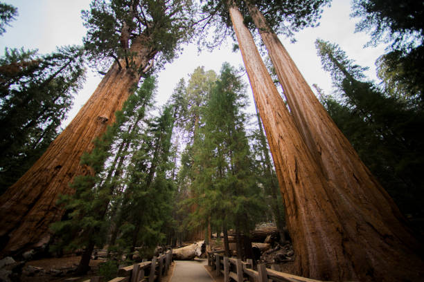 istock America, California, West cost, travel 1053186680