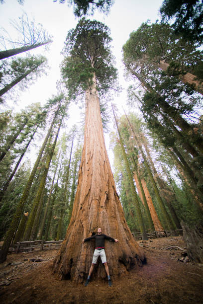 istock America, California, West cost, travel 1053186888