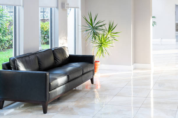 Black leather couch, sofa with green potted palm tree plant in pot with tiles, tiled floor in hall, room, lobby of residential, condo, condominium house, building, complex with bright, natural light Black leather couch, sofa with green potted palm tree plant in pot with tiles, tiled floor in hall, room, lobby of residential, condo, condominium house, building, complex with bright, natural light building storey stock pictures, royalty-free photos & images