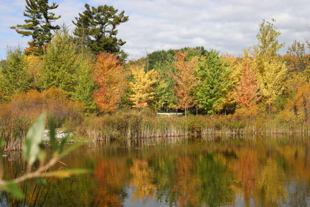 istock Autumn colors in Ontario, Canada 1053193014
