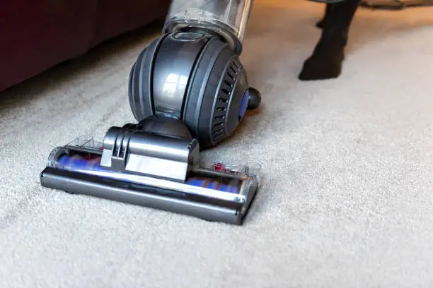 Closeup of woman doing cleaning at home with vacuum cleaner showing head, brush on carpet floor, couch, sofa