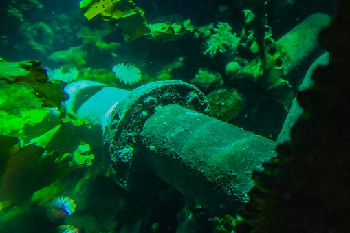 Scuba diver on the wreck of the Iona ship in the red sea offshore from Yanbu, Saudi Arabia