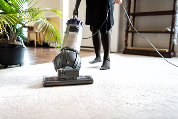 Closeup of woman, female doing cleaning at home with vacuum cleaner showing head, brush on carpet floor, green plants, shelves, furniture Closeup of woman, female doing cleaning at home with vacuum cleaner showing head, brush on carpet floor, green plants, shelves, furniture airtight photos stock pictures, royalty-free photos & images