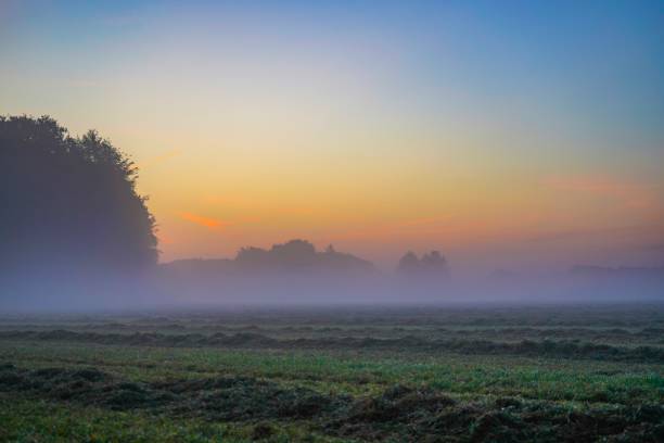 istock A field in rising sun and fog in Germany 1053194880