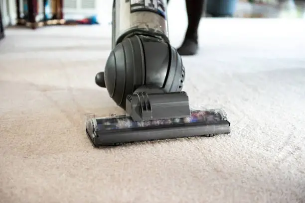 Closeup of woman, female doing cleaning at home with vacuum cleaner showing head, brush on carpet floor with dirt