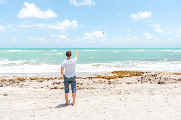 молодой человек в футболке, шорты, стоящие на песке, песчаный пляж в майами, флорида с океаном, морские волны, указывающие пальцем, рука лета� - florida mid air miami florida people стоковые фото и изображения