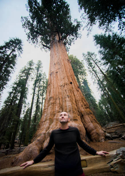 istock America, California, West cost, travel 1053198236