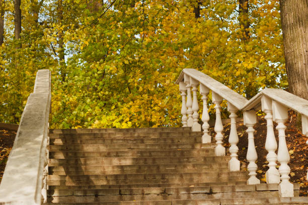 istock autumn forest gold tree stairs 1053198508