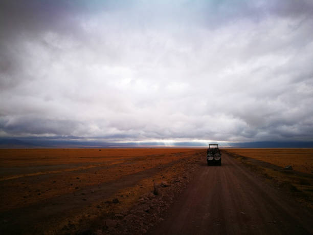 istock Safari in Tanzania 1053198526