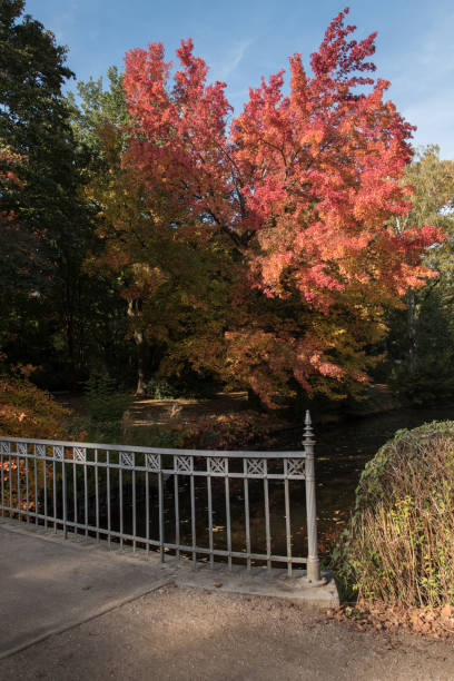 istock Colours of autumn 1053198542