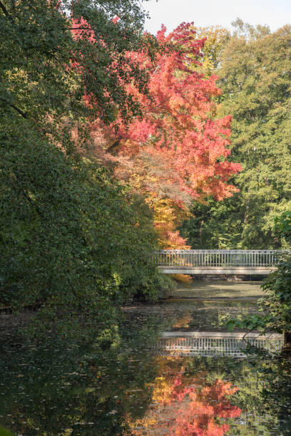 istock Colours of autumn 1053198544