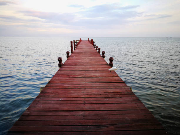 Victoria's lake, Tanzania