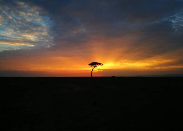 istock sunset in serengueti 1053202404