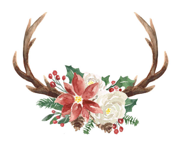 Watercolor Winter Wreath with Antlers Christmas Watercolor Winter Wreath with Foliage, flowers, antlers, berries rose christmas red white stock illustrations