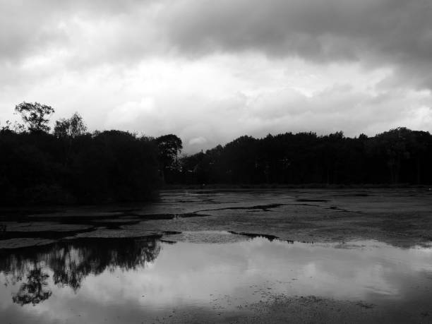 istock mysterious dark lake with dramatic clouds reflected in the water and trees along the shore 1053203956