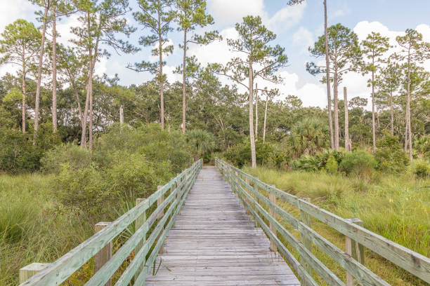 istock Boardwalk Hiking Path in Northeast Florida Marine Estuary 1053204944