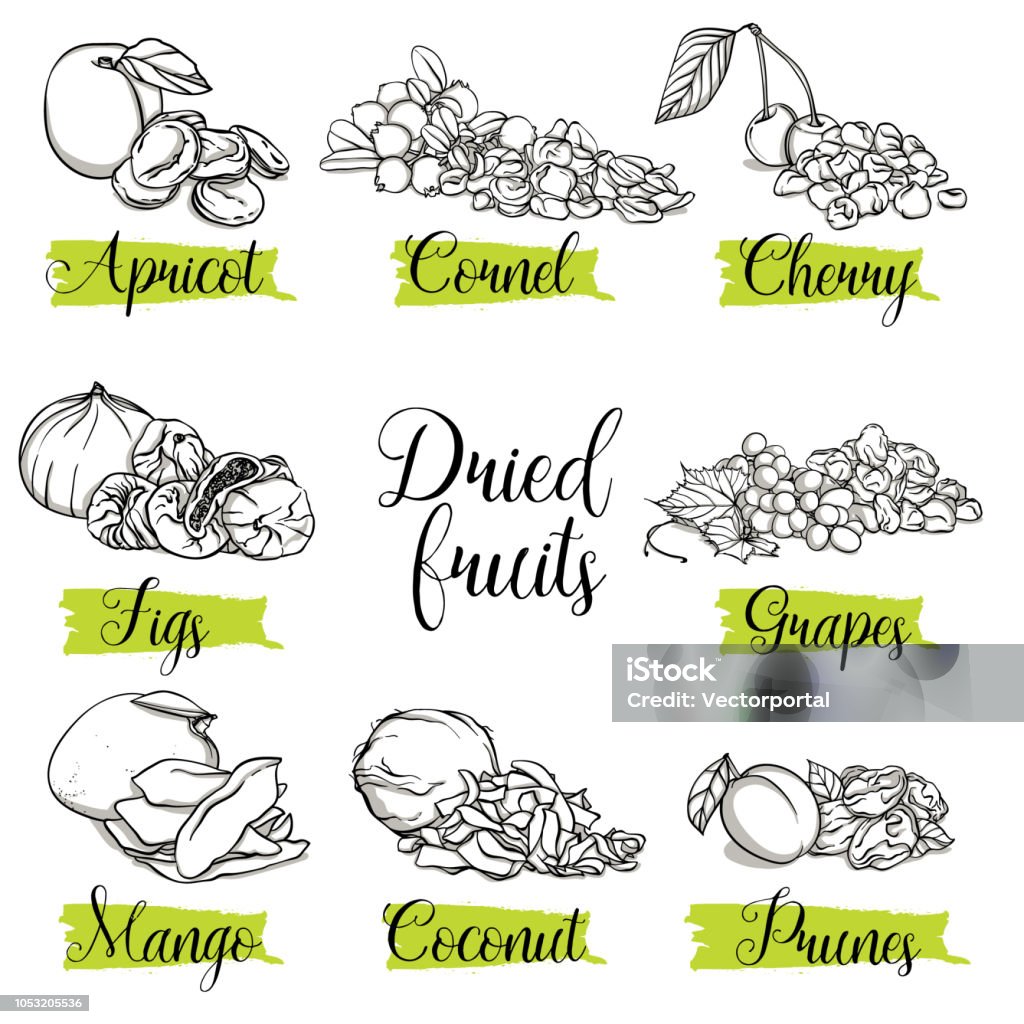 Hand drawn sketch style fruits, nuts and berries. Mango, apricot, plum, fig, grapes, cherry, dogwood, coconut. Organic fruit with leaf, vector doodle illustrations collection isolated on white background. Raisin stock vector