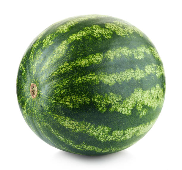 istock Whole fresh watermelon isolated on white 1053210166