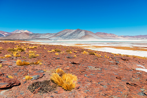 Tuyajto lake on the andes cordillera near San Pedro de Atacama