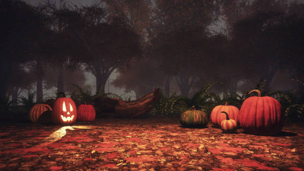 istock Halloween pumpkins in misty autumn forest at dusk 1053223294