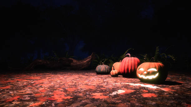 istock Halloween pumpkins in autumn forest at dark night 1053223328