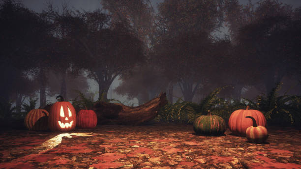 istock Halloween pumpkins in spooky autumn forest at dusk 1053223346