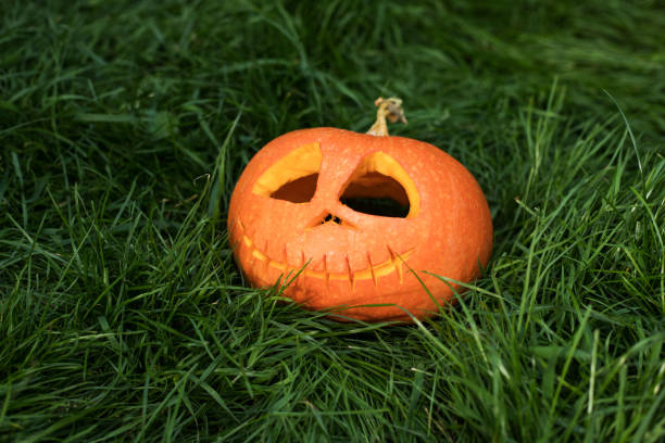 istock Halloween carved pumpkin. jack-o-lantern 1053224862