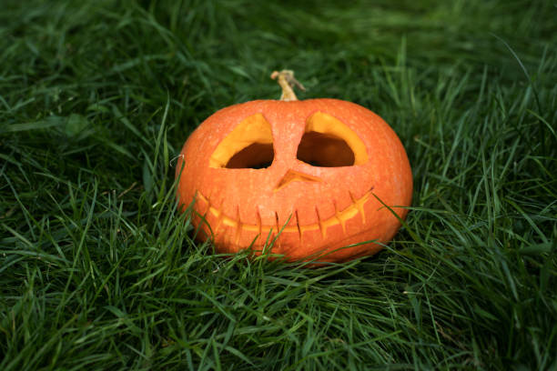 istock Halloween carved pumpkin. jack-o-lantern 1053224868