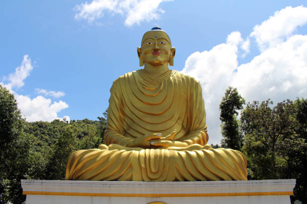 The statue of Golden Buddha on the way up to Dhulikhel hill. The statue of Golden Buddha on the way up to Dhulikhel hill. Taken in Nepal, August 2018. nagarkot photos stock pictures, royalty-free photos & images