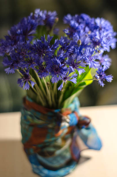 istock Blue Cornflower bouquet closeup in abstract background with place for text. 1053226874