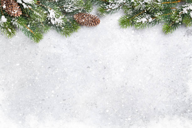 istock Christmas fir tree branch covered by snow card 1053229088