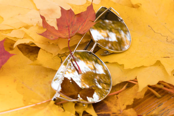 istock sunglasses lie on yellow autumn maple leaves 1053230622