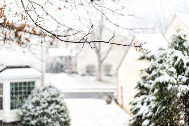 View from window on snowstorm, storm, snowing weather with tree branches covered in snow in backyard, front yard with houses, road, street, residential neighborhood in Fairfax, Virginia