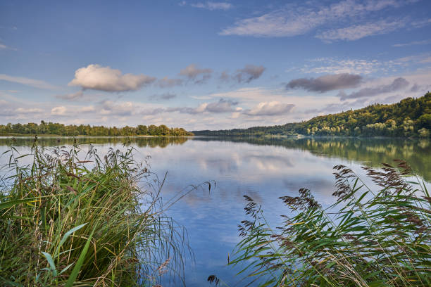 хаиминг иннспиц - salzach river стоковые фото и изображения