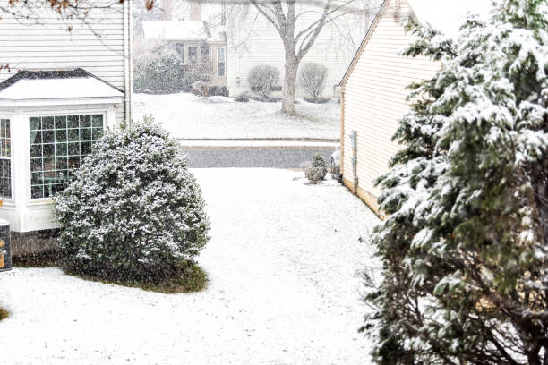 istock View from window on snowstorm, storm, snowing weather outside, outdoors with tree branches covered in snow in backyard, front yard with houses, road, street in Fairfax, Virginia 1053234528