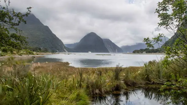 Looking out at Milford Sound towards Mitre Peak from land.
