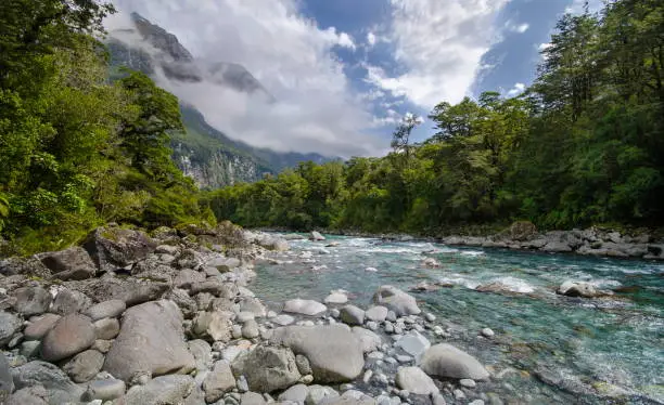 The beautiful clear waters of this river not far from Milford Sound on the South Island of New Zealand.