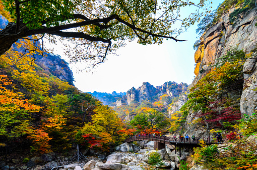 The autumn scenery of The Snow Mountain, which retains its beauty in all seasons, is wonderfully beautiful.